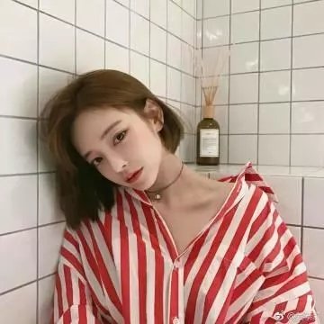 热铁皮屋顶上的猫